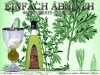 absinthe-photo-contest-12